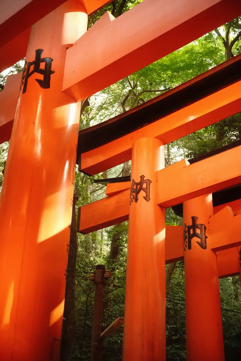 Torii gates at Fushimi Inari Shrine in Kyoto