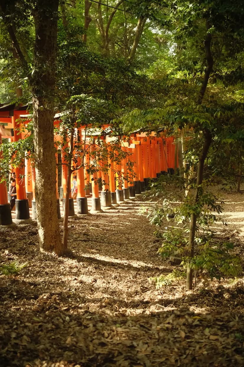 Side view of vibrant Torii gates winding through the forest at Fushimi Inari Shrine