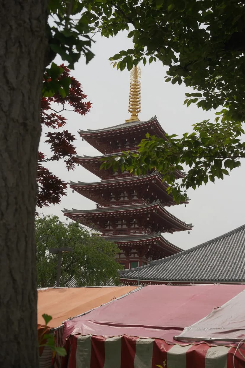 Five-storied pagoda at Sensoji Temple in Tokyo at sunset